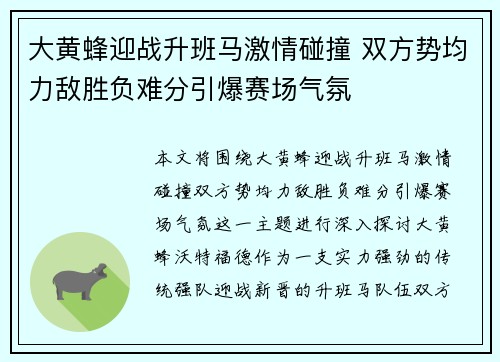 大黄蜂迎战升班马激情碰撞 双方势均力敌胜负难分引爆赛场气氛