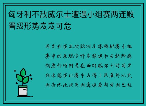 匈牙利不敌威尔士遭遇小组赛两连败晋级形势岌岌可危