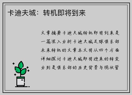 卡迪夫城：转机即将到来